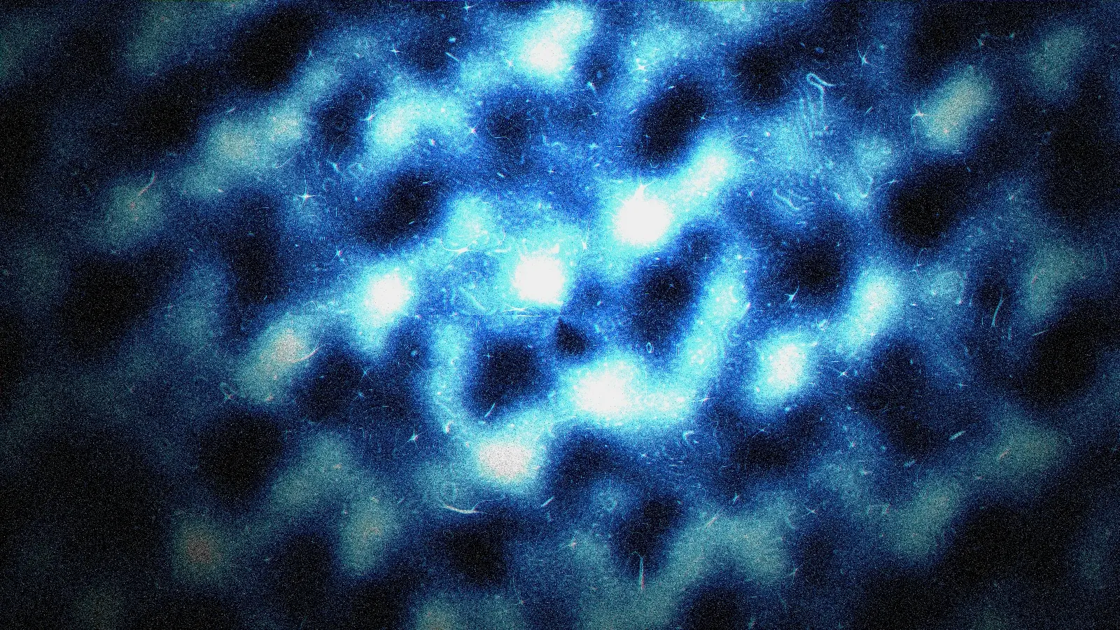 Generative research plate for neural rhythm fields and shared spatial resonance